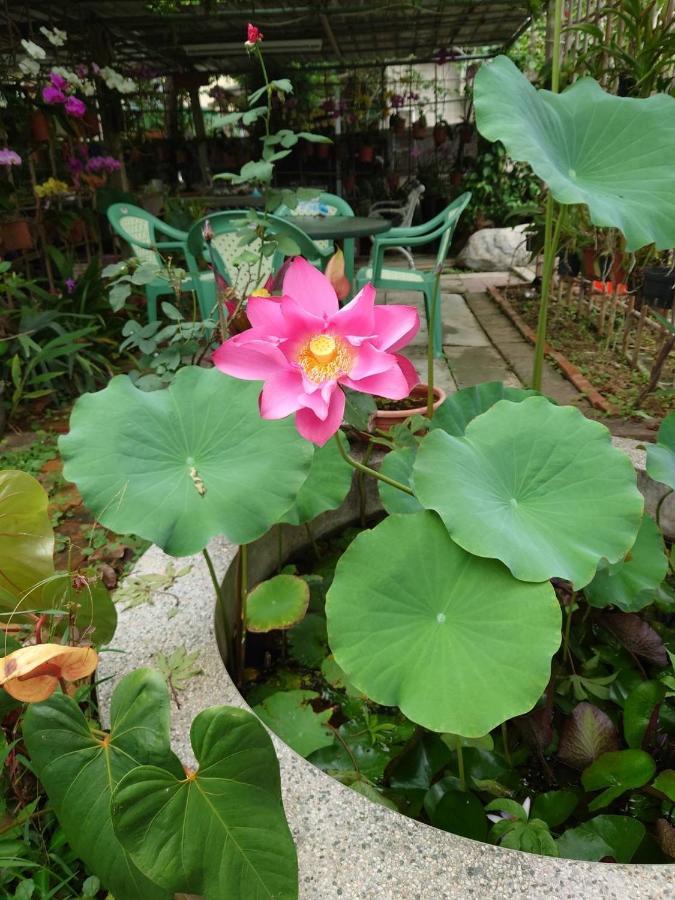 Garden Hostel Minxiong Exterior foto