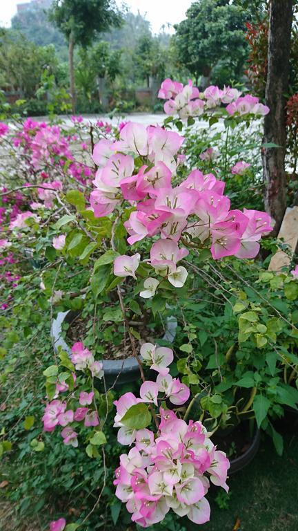 Garden Hostel Minxiong Exterior foto