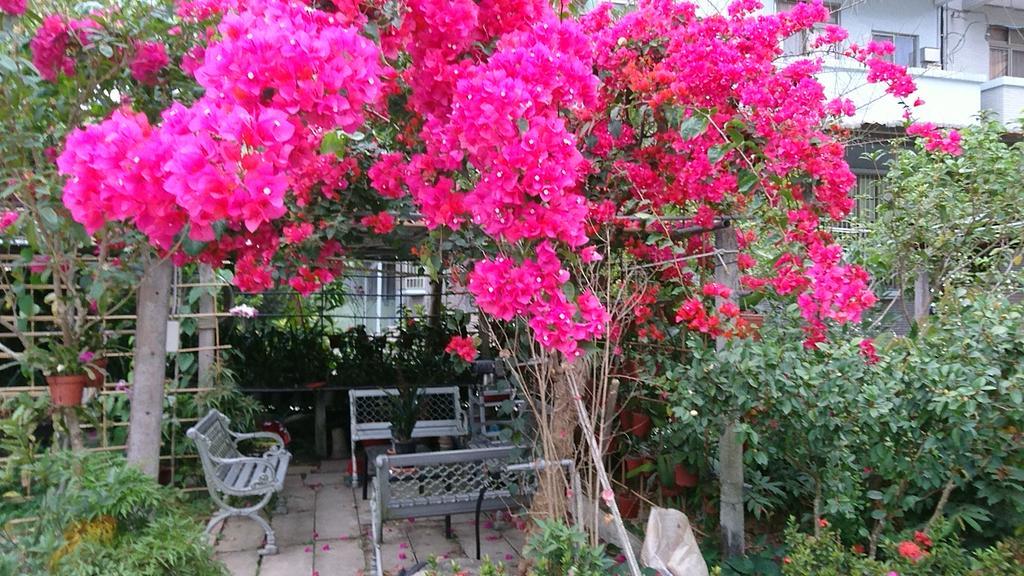Garden Hostel Minxiong Exterior foto